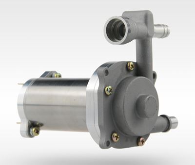 Bidirectional pressurized vortex pump (RV)
